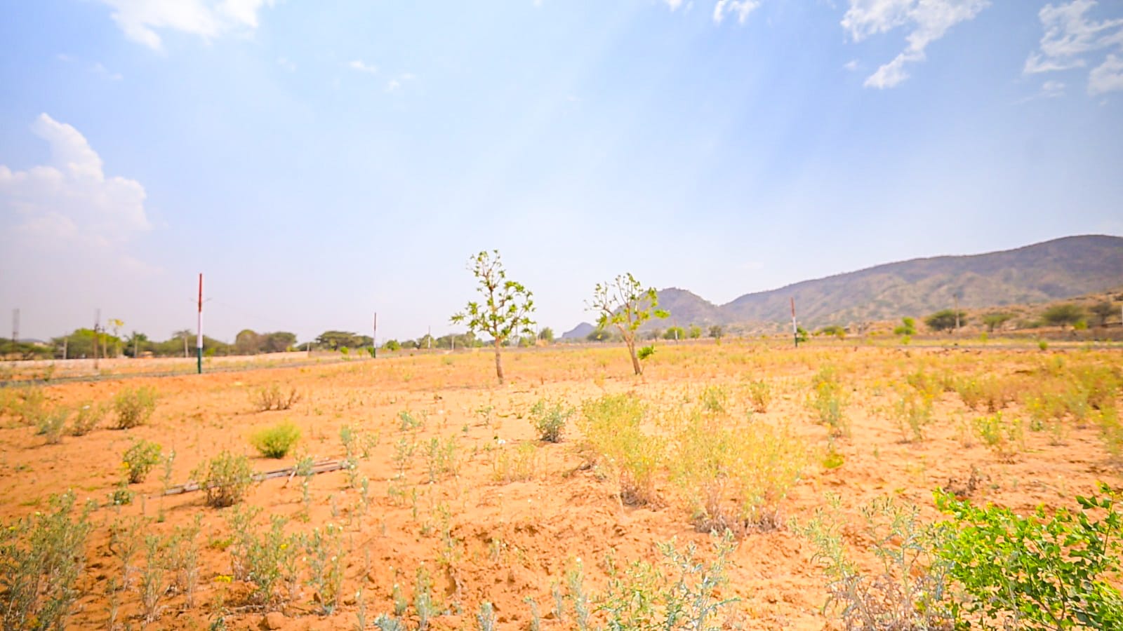 Triveni City Phase-II - Residential plot image 9 in Shahpura