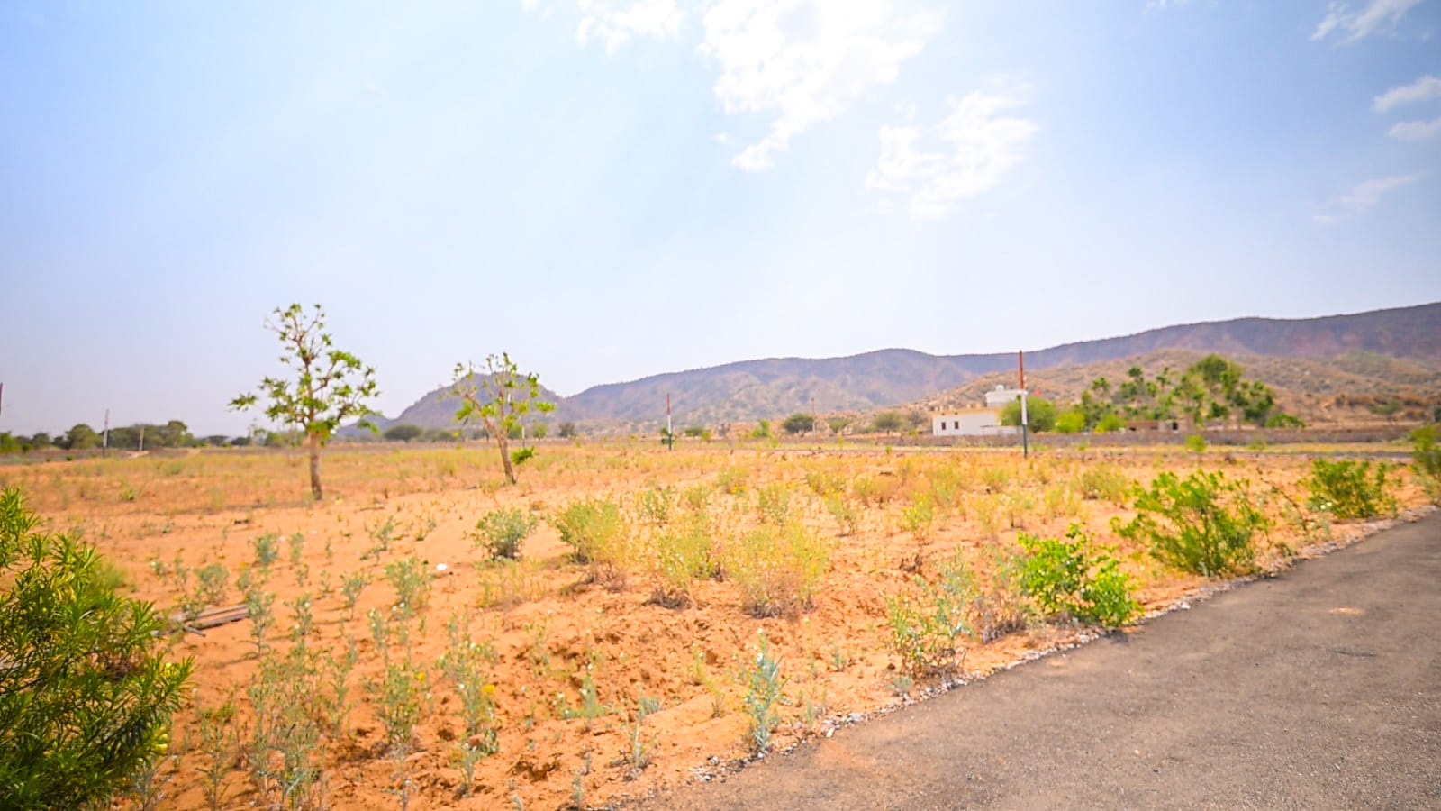 Triveni City Phase-II - Residential plot image 13 in Shahpura