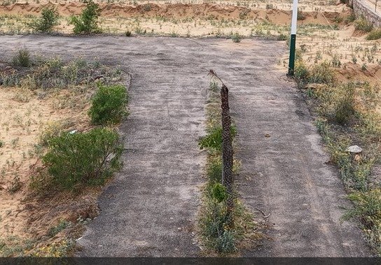 Triveni City Phase-I - Residential plot image 3 in Shahpura