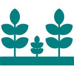 Road Side Plantation for plots in Keshwana